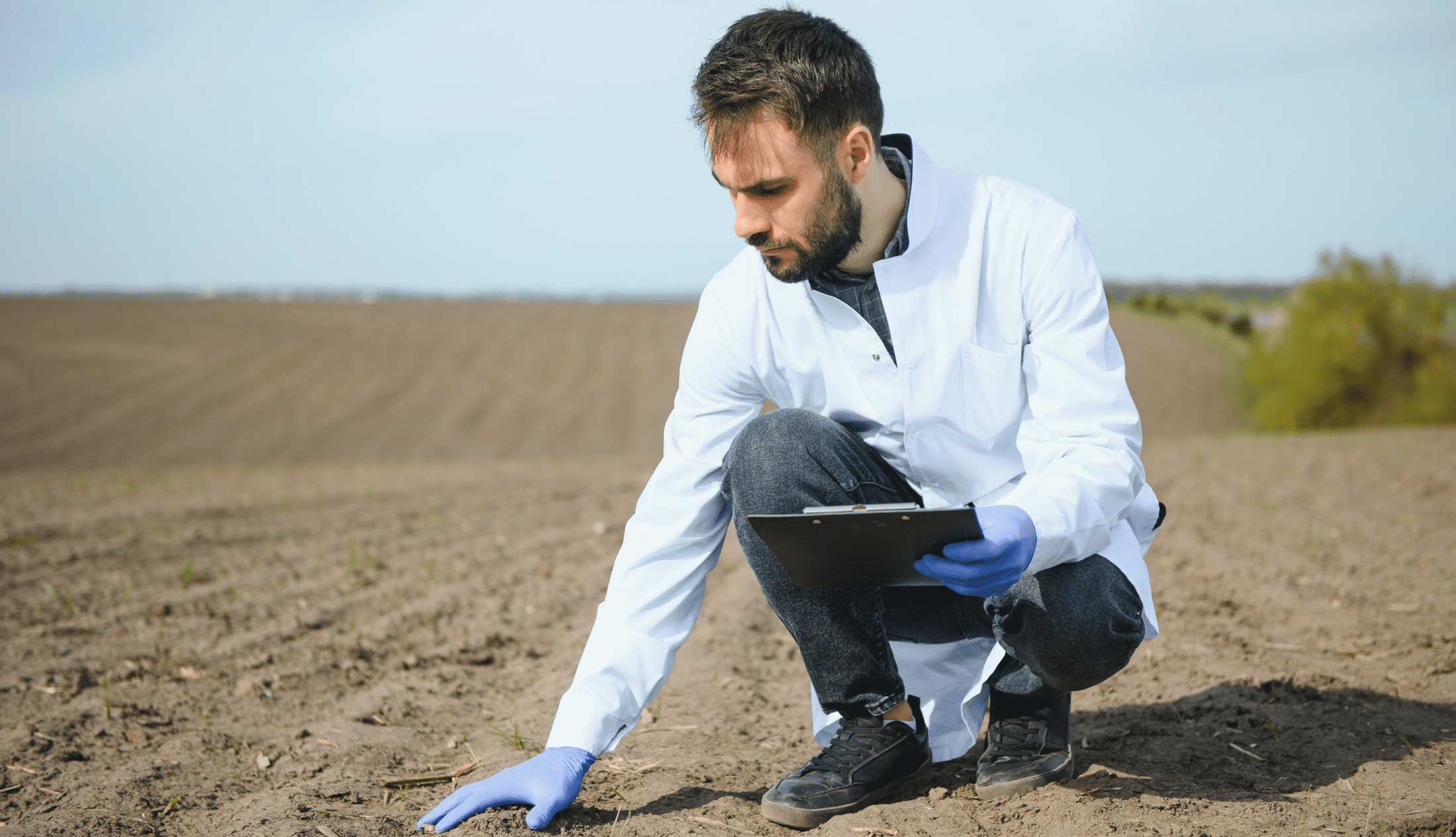 Soil Testing. Agronomy Specialist taking soil sample for fertility analysis