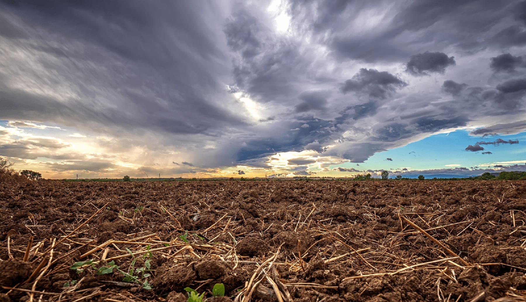How Wet Weather Affects Ground Improvement Raw rural field | wet weather affects