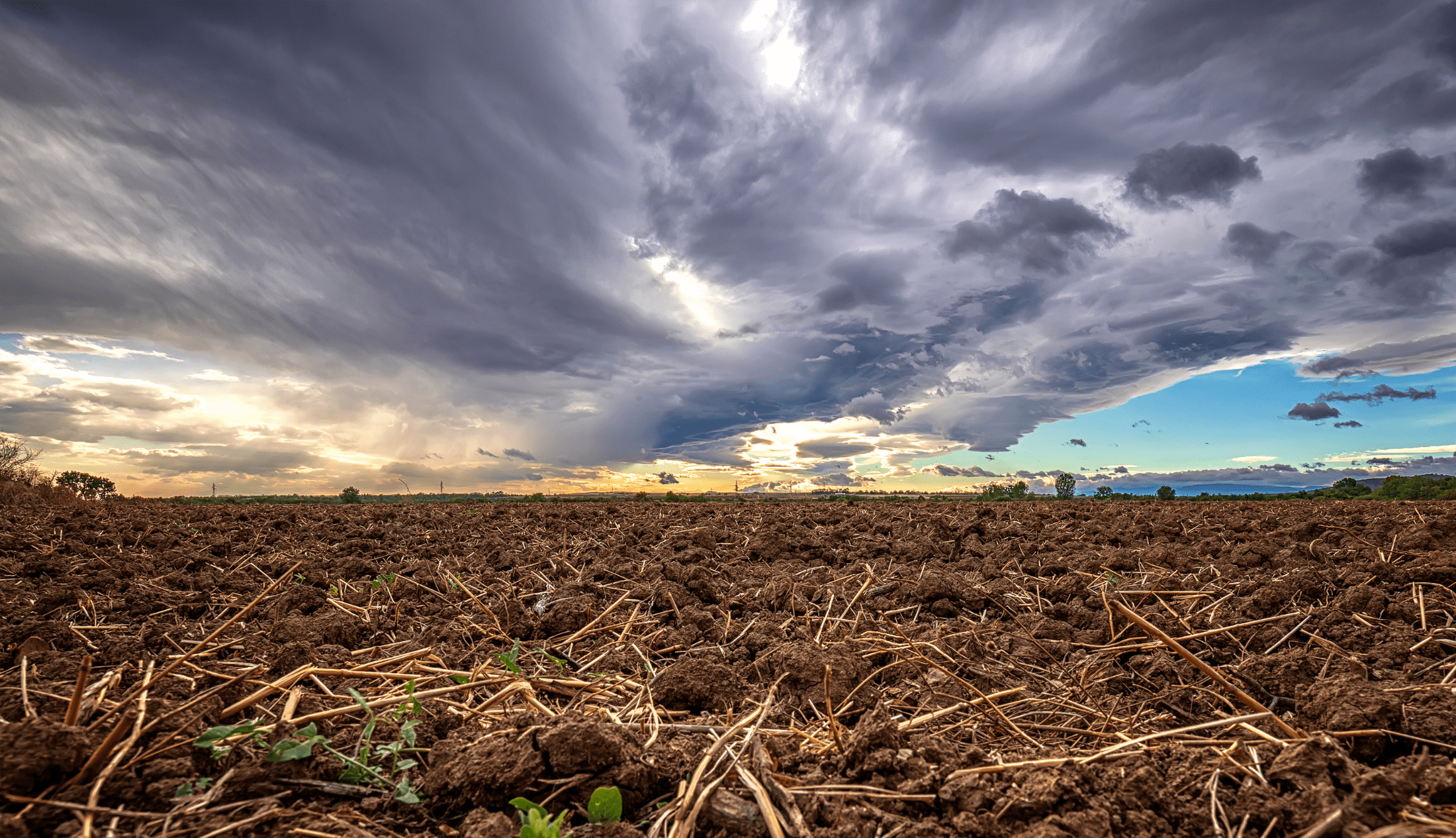 raw rural field | wet weather affects